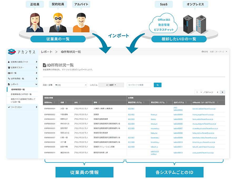 アカンサスの利用イメージ